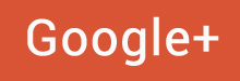 Google +