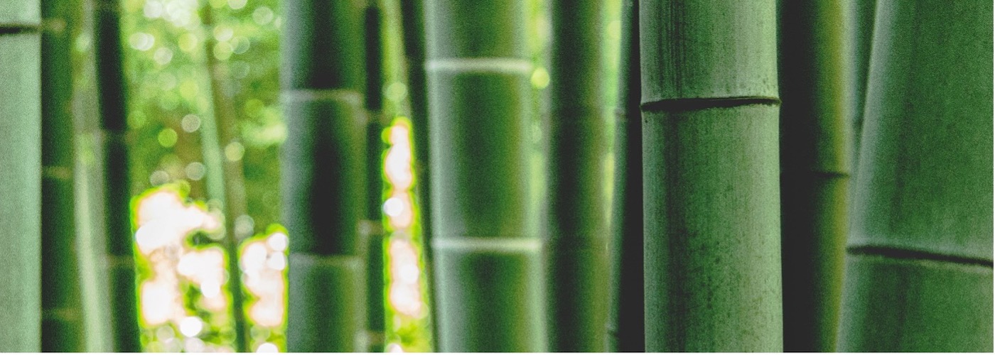 Bambus – Bæredygtigt tøj –