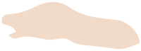 hudtype-1