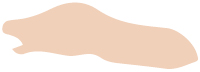 hudtype-2