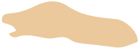 hudtype-3