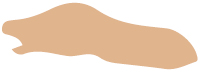 hudtype-4