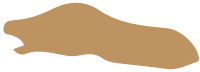 hudtype-5