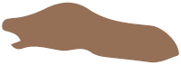 hudtype-6