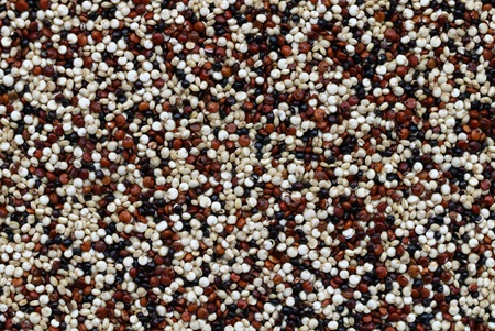Quinoa i forskellige farver