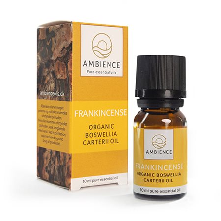 Ambience Frankincense olie, øko
