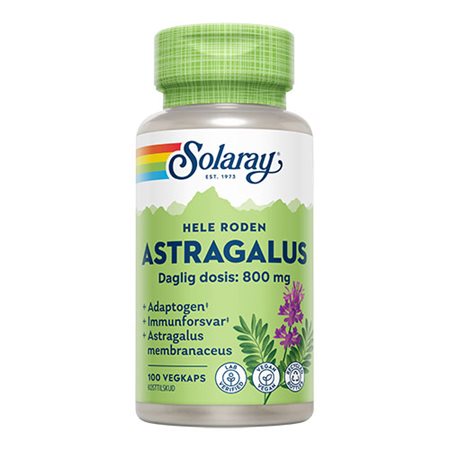 Astragalus