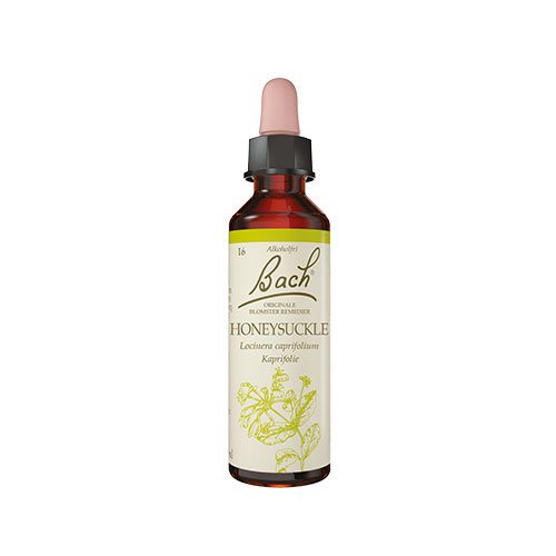 Billede af Bach Originale Blomsterremedier Bach Ægte Kaprifolie - 10 ml