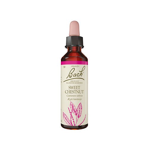 Billede af Bach Originale Blomsterremedier Bach Ægte Kastanie - 10 ml