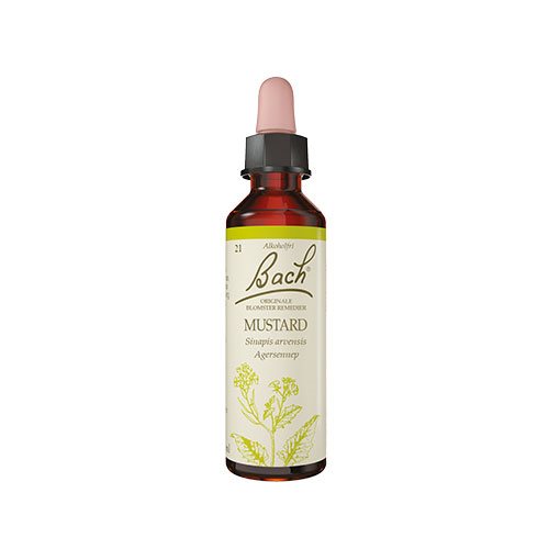 Billede af Bach Originale Blomsterremedier Bach Agersennep - 10 ml