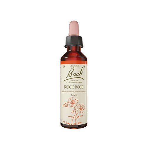 Billede af Bach Originale Blomsterremedier Bach Almindelig Soløje - 10 ml