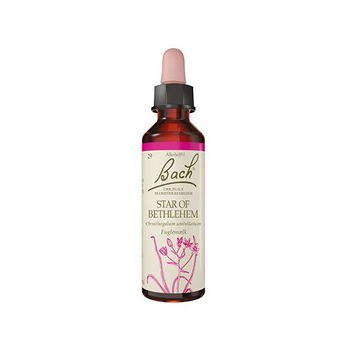 Billede af Bach Originale Blomsterremedier Bach Kost Fuglemælk - 10 ml