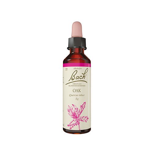 Billede af Bach Originale Blomsterremedier Bach Stilk Eg - 10 ml