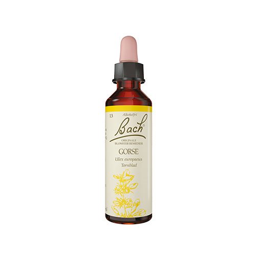 Billede af Bach Originale Blomsterremedier Bach Tornblad - 10 ml