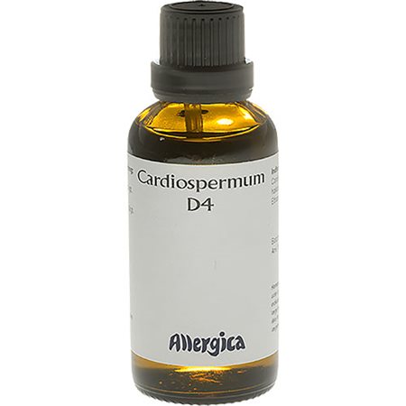 Cardiospermum D4