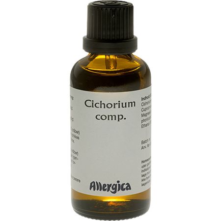Cichorium comp.