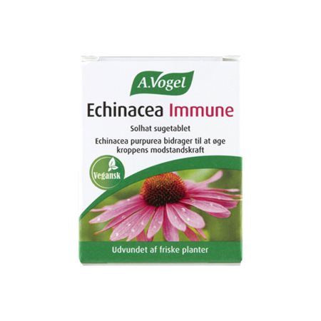 Echinacea Immune
