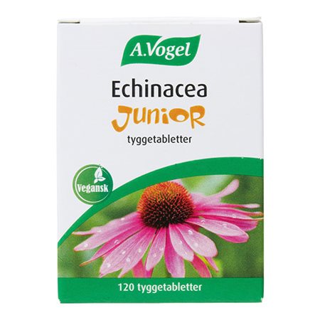 Echinacea Junior