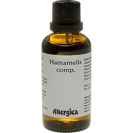 Hamamelis comp.