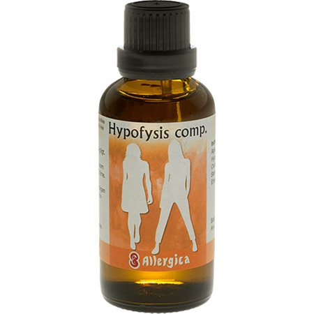 Hypofysis comp.