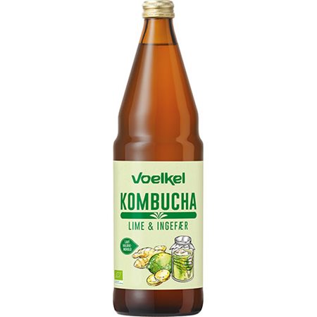 Kombucha Lime - ingefær Ø