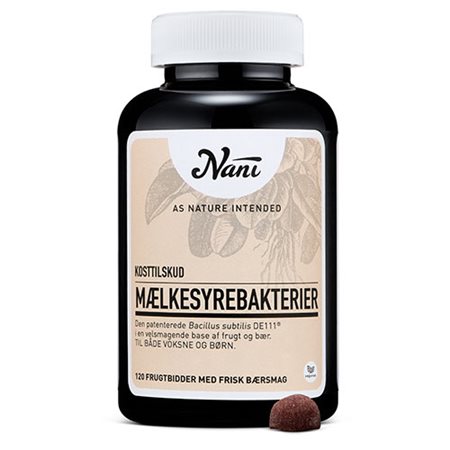 Mælkesyrebakterier