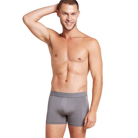 Men's Everyday Boxers Ash str. M