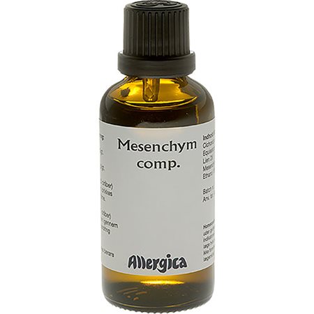 Mesenchym comp.