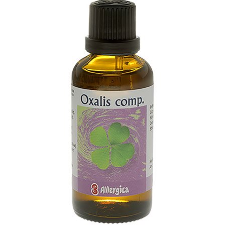 Oxalis comp.