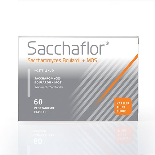 Sacchaflor – 60 kap